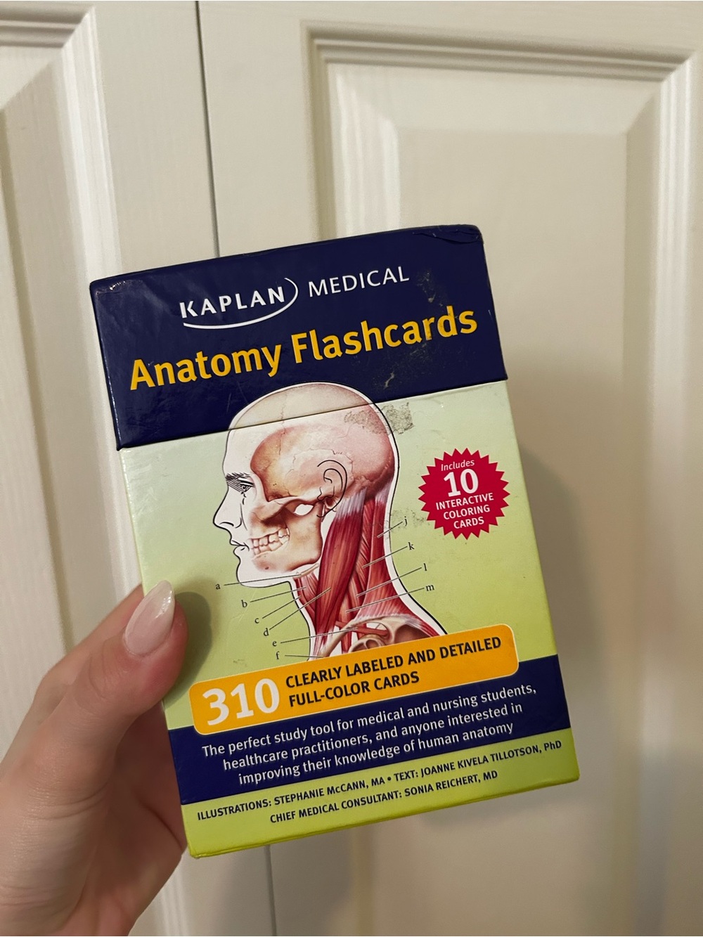 Kaplan Medical Anatomy Flashcards - Yellow & Navy